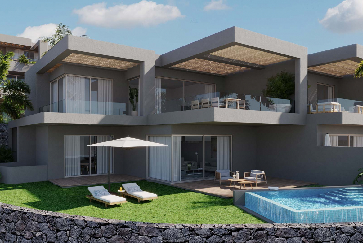 Amoenus Rokabella Callao Salvaje (1)