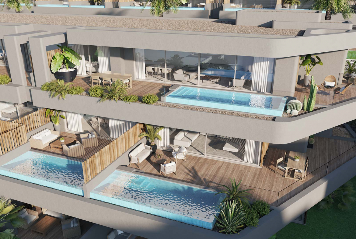 Amoenus Rokabella Callao Salvaje